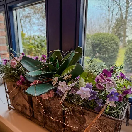 Ferienhaus Haus Hölle - *